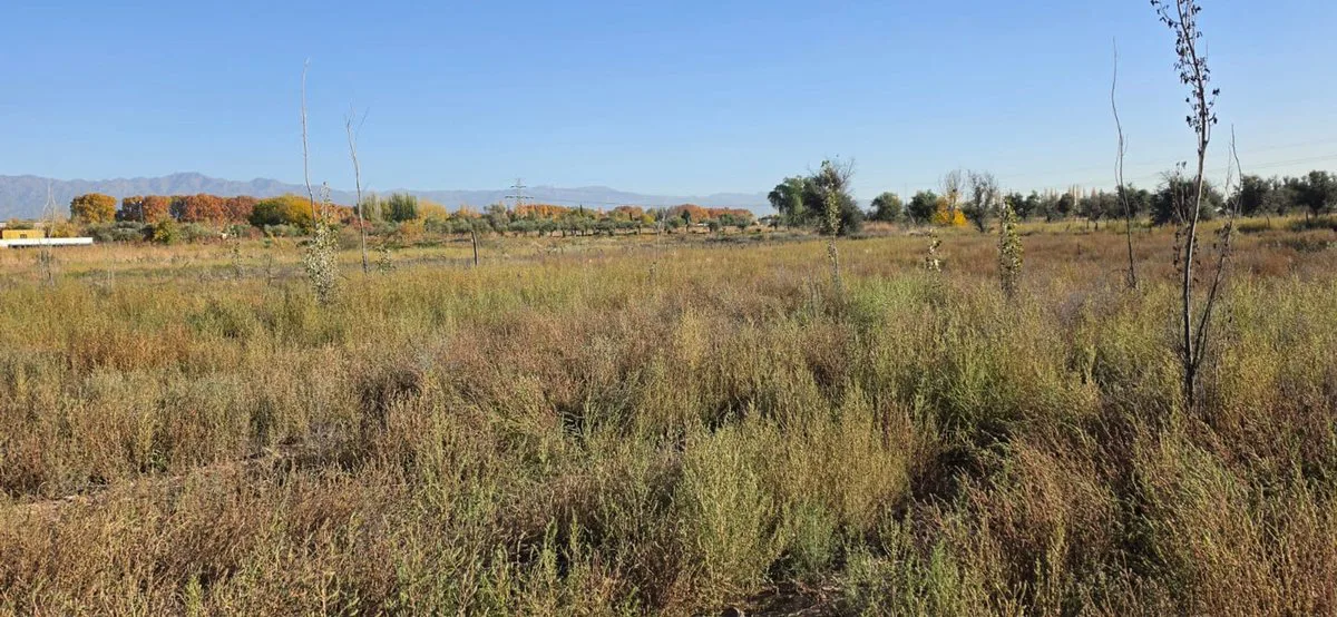 VENTA GRAN TERRENO APTO EMPRENDIMIENTO EN PERDRIEL foto 5