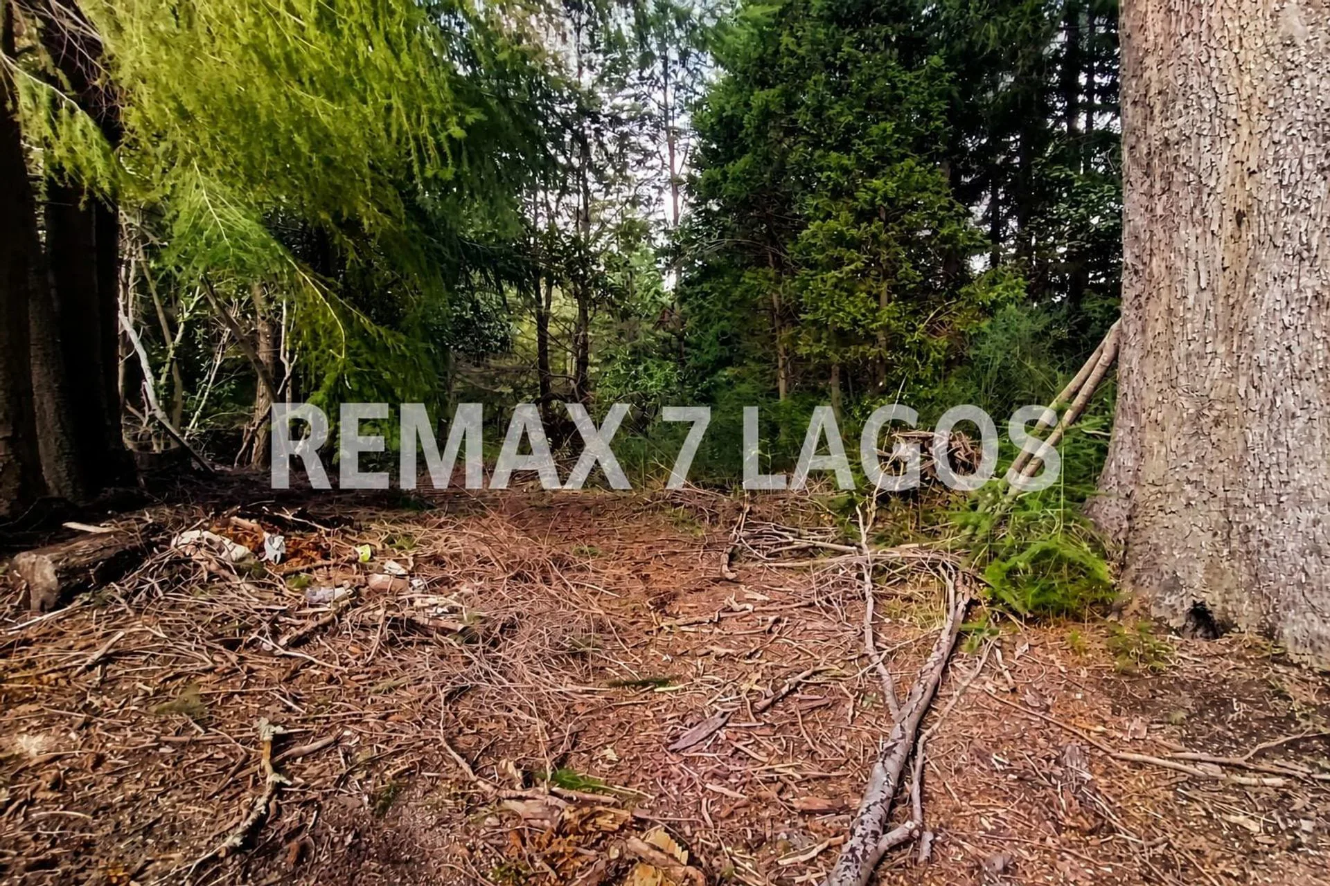 EQUIPO REMAX VENDE EXCELENTE TERRENO CON ARROYO foto 2