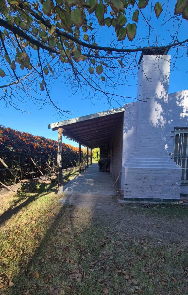 VENTA CASA QUINTA C/PILETA Y FRUTALES-RAMA CAIDA foto 3