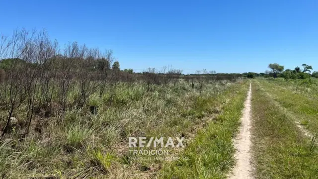 VENTA 3 ha Colonia Benítez