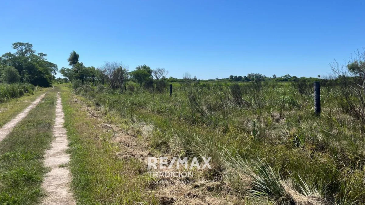 VENTA 3 ha  Colonia Benítez foto 3
