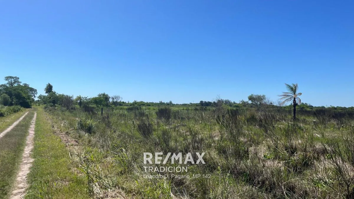 VENTA 3 ha  Colonia Benítez foto 4