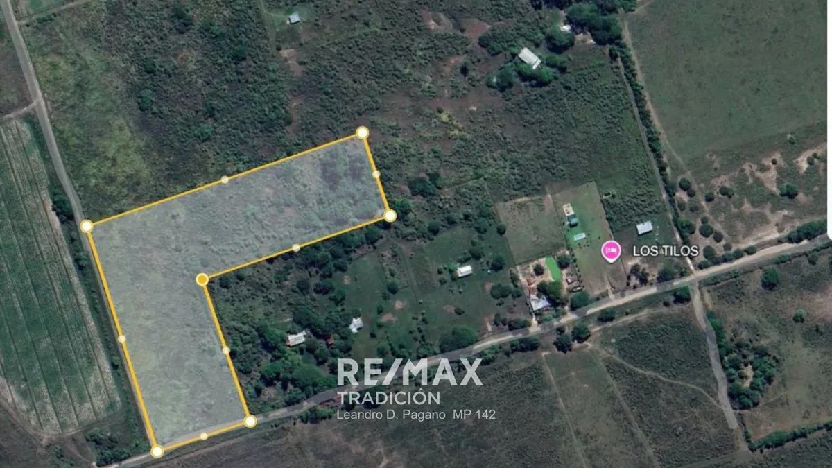 VENTA 3 ha  Colonia Benítez foto 5