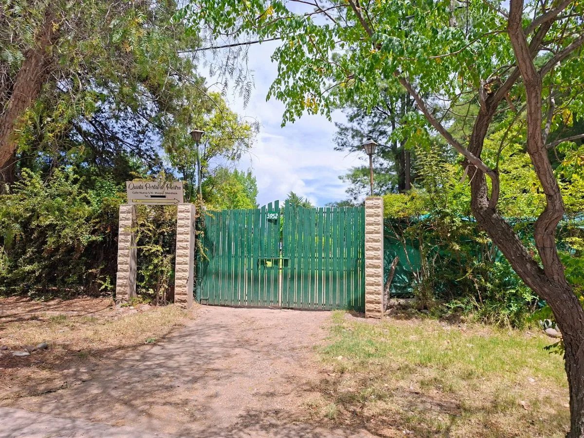 VENTA CASA QUINTA 3 DORM. PILETA - JARDIN - MAIPU foto 2
