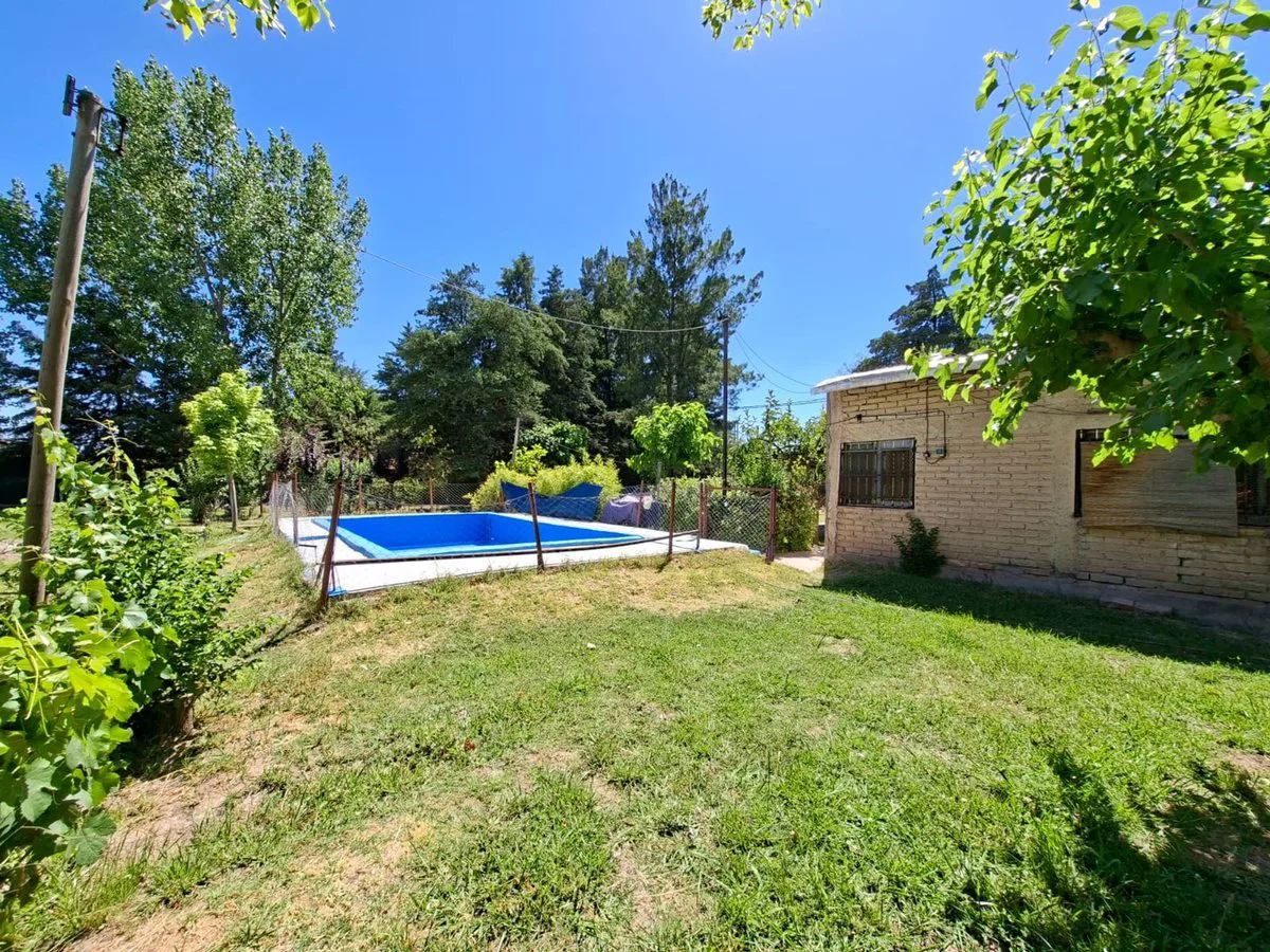 VENTA CASA QUINTA 3 DORM. PILETA - JARDIN - MAIPU foto 4