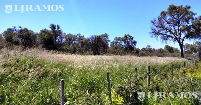 2500 ha ganaderas, con silvopastoril y estructura armada. Taco Pozo, Chaco foto 3