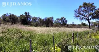 2500 ha ganaderas, con silvopastoril y estructura armada. Taco Pozo, Chaco foto 3