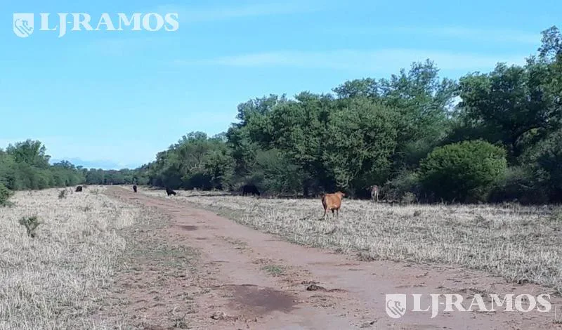 2500 ha ganaderas, con silvopastoril y estructura armada. Taco Pozo, Chaco foto 4