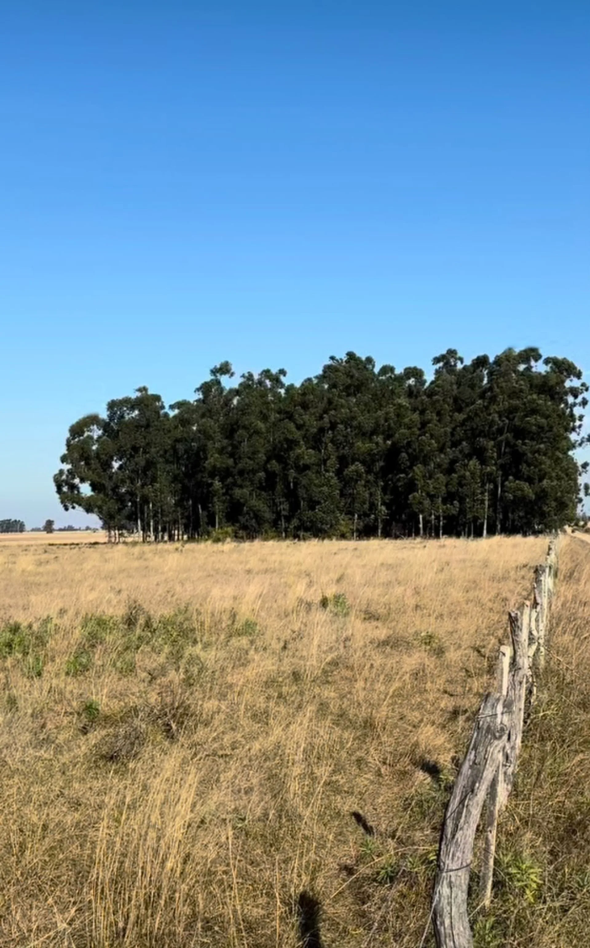 LOTE EN VENTA CERCA DE LAGUNA PUCU