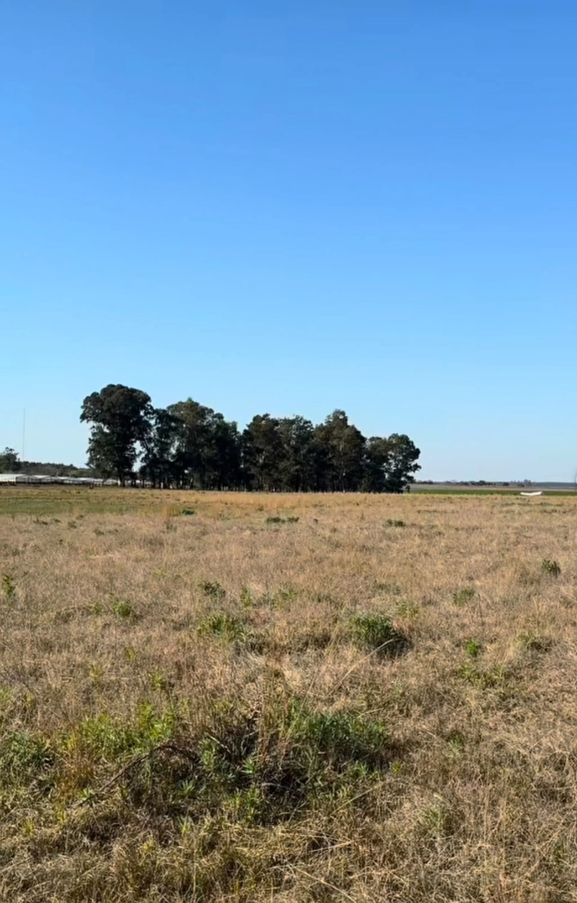 LOTE EN VENTA CERCA DE LAGUNA PUCU foto 2
