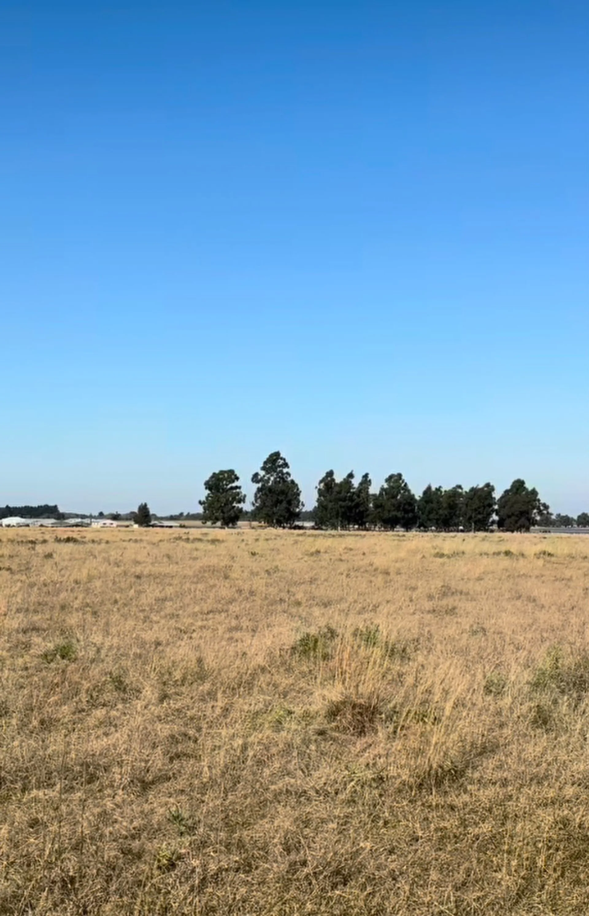 LOTE EN VENTA CERCA DE LAGUNA PUCU foto 3