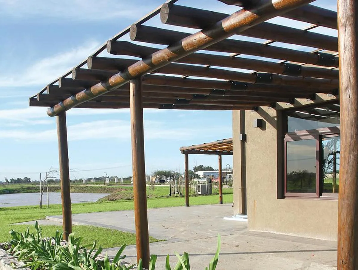 Cruz del Sur - Lote: 100 foto 3
