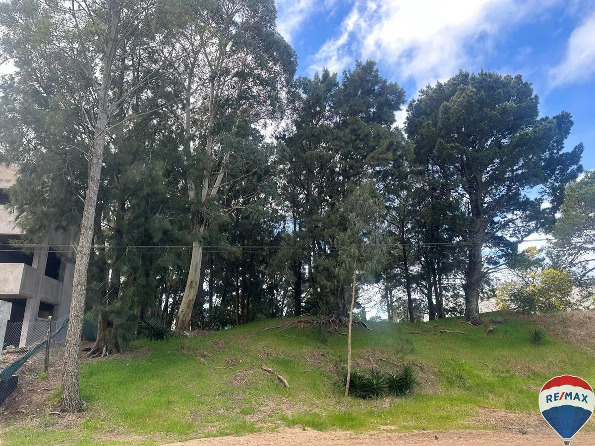 Lote en venta Villa Gesell Norte foto 3