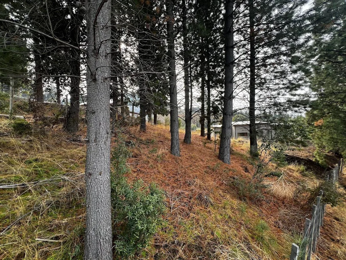 Terreno en Villa Ayelén foto 4