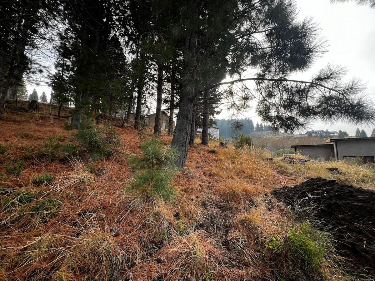 Terreno en Villa Ayelén foto 5