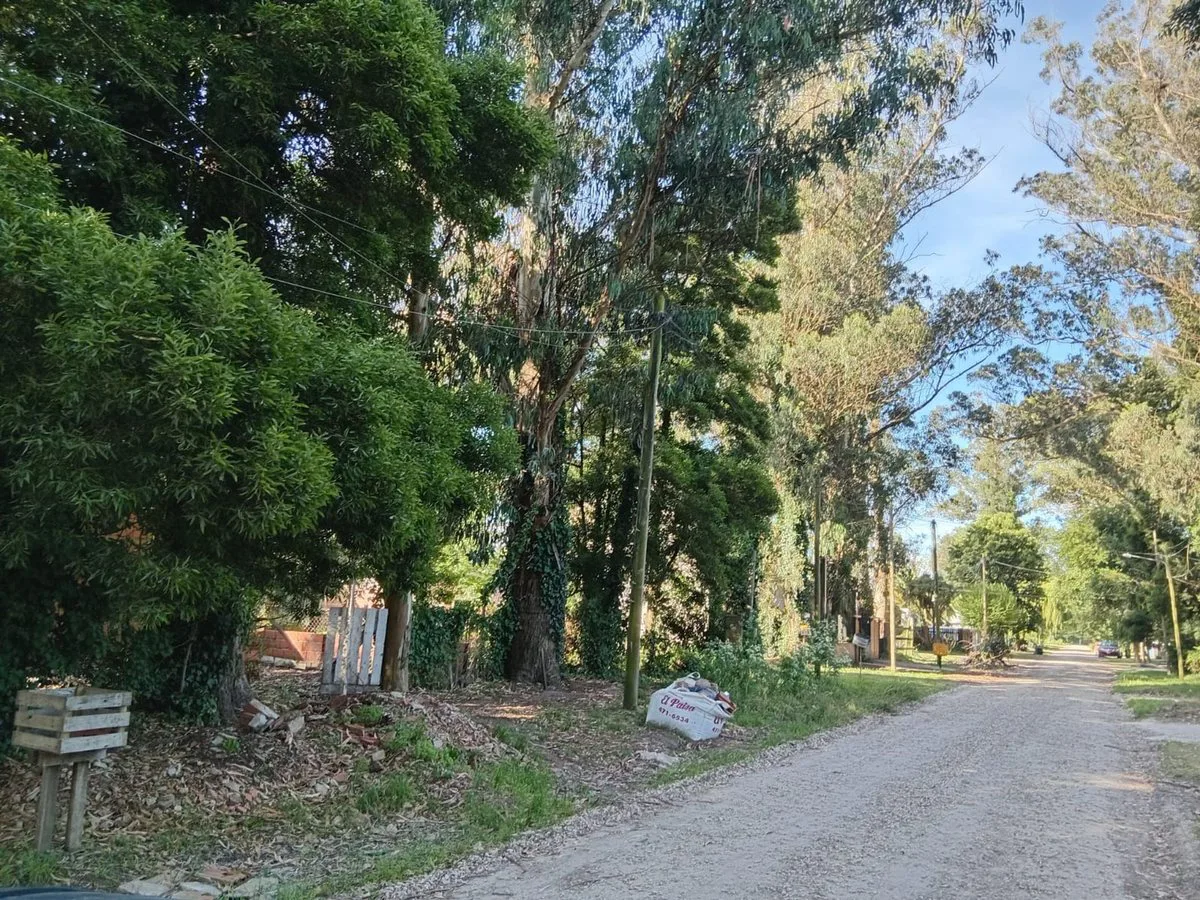 VENTA LOTE LAS DALIAS 426 M2 foto 3