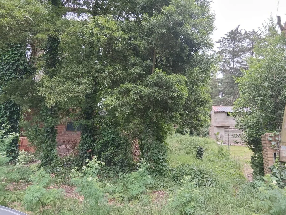 VENTA LOTE LAS DALIAS 426 M2 foto 4