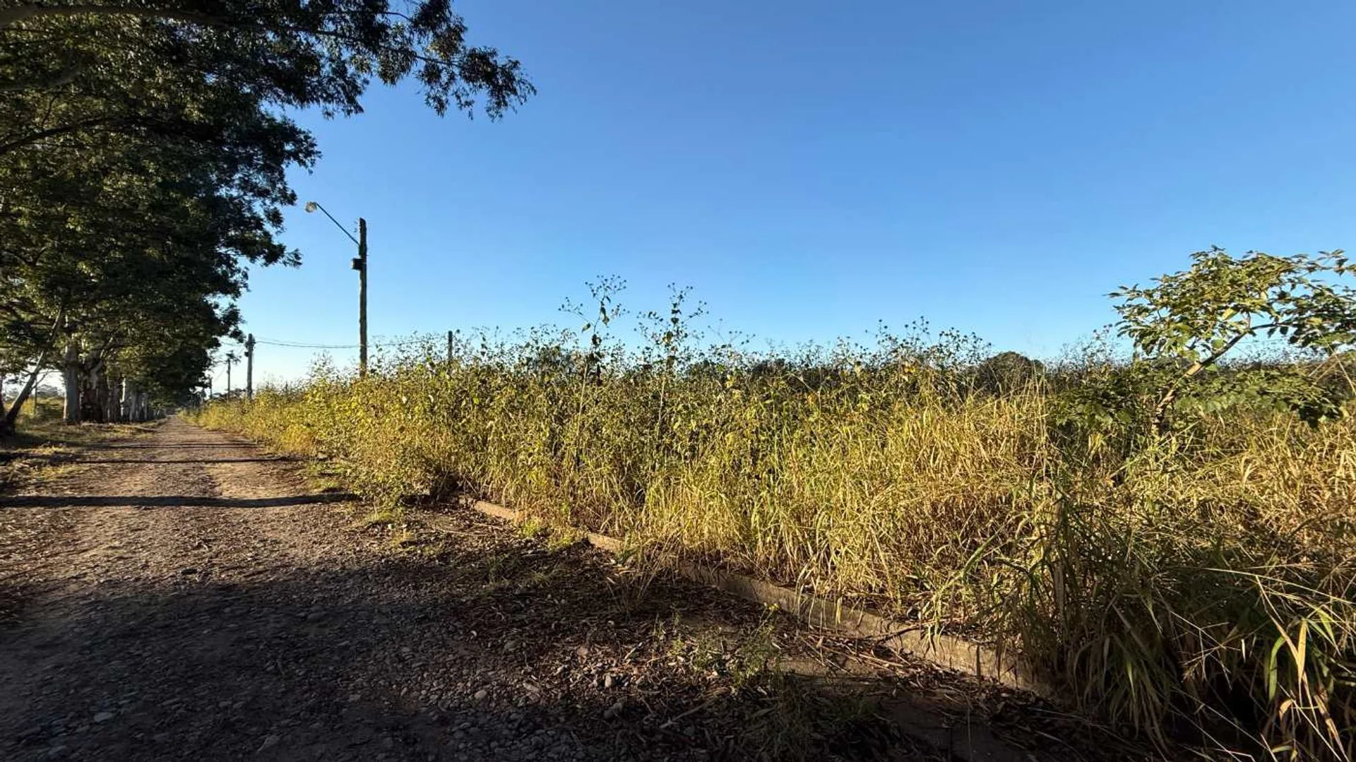 VENTA TERRENO 442,20m2 LOTEO AYRES DE CAMPO foto 2