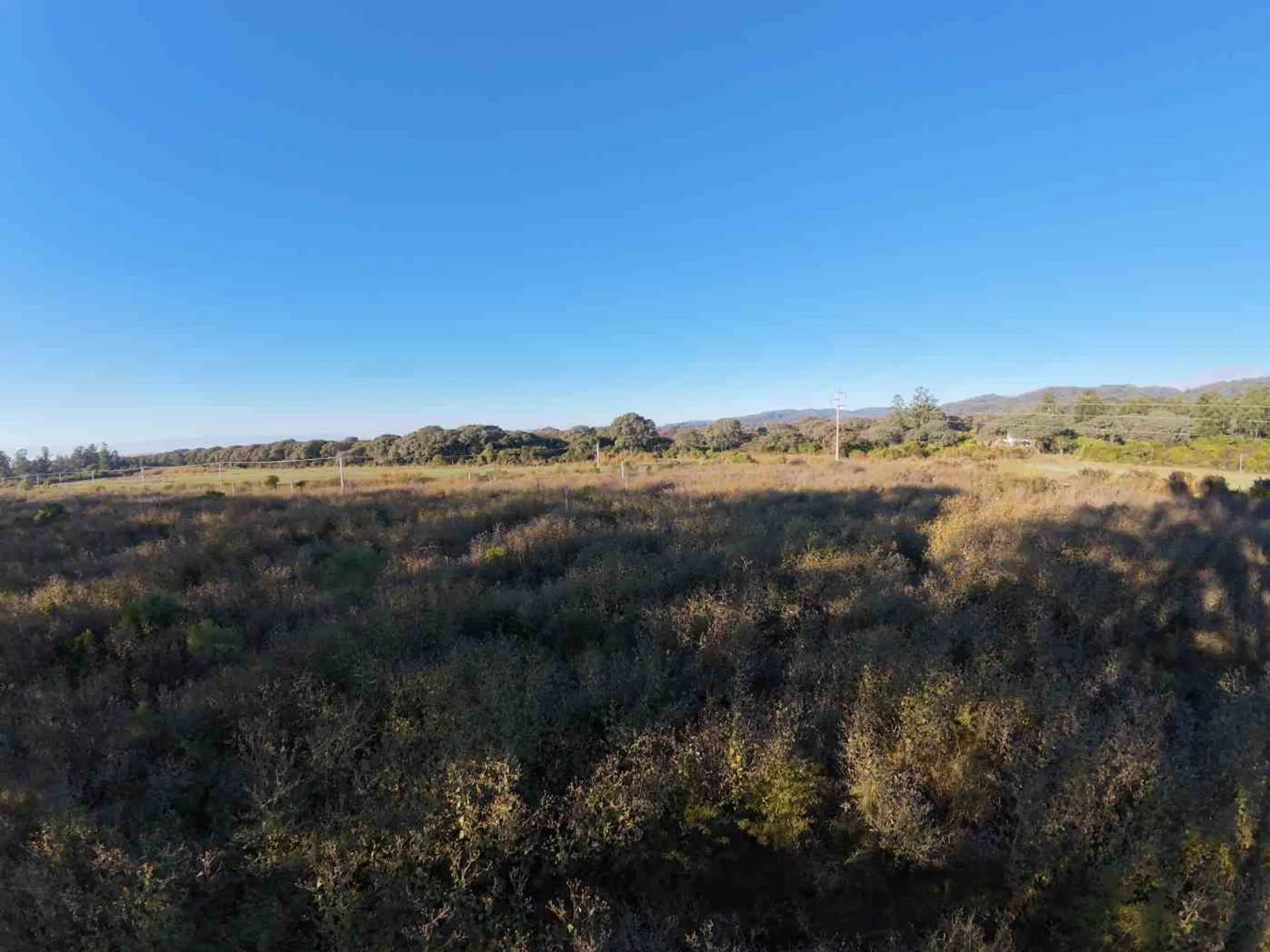 VENTA TERRENO 442,20m2 LOTEO AYRES DE CAMPO foto 3