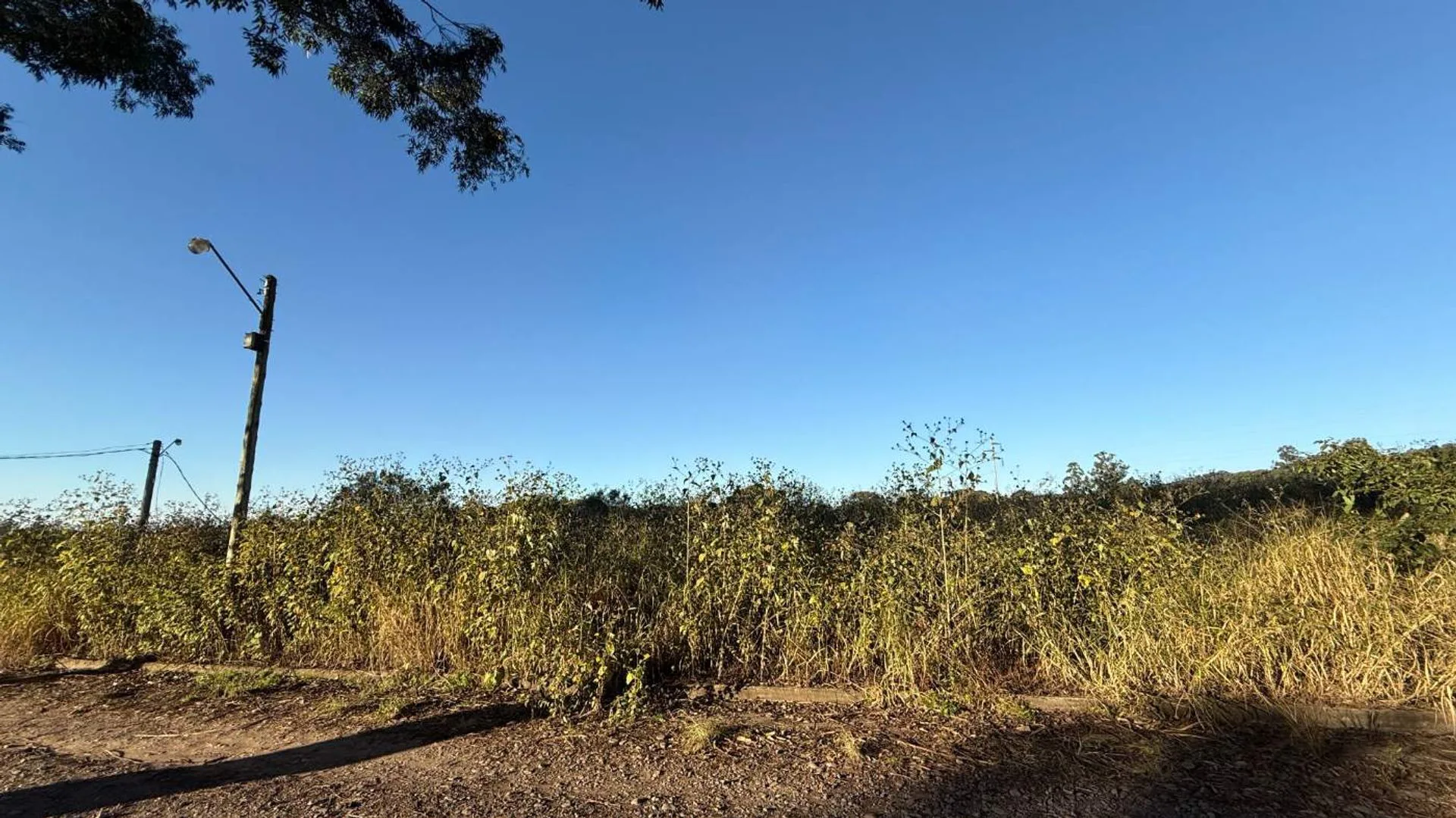 VENTA TERRENO 442,20m2 LOTEO AYRES DE CAMPO foto 4