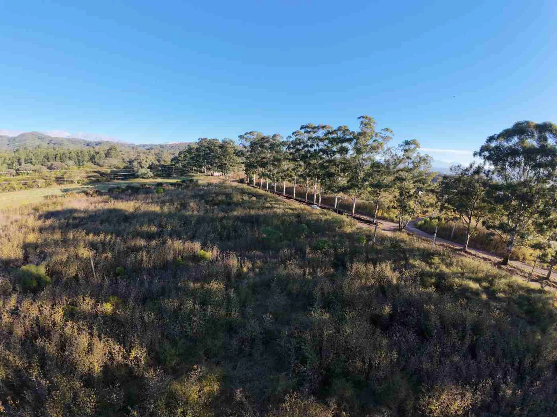 VENTA TERRENO 442,20m2 LOTEO AYRES DE CAMPO foto 5