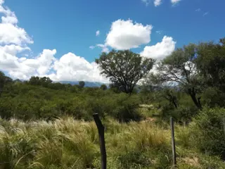 Terreno con vista a la sierra en Barranca de los Loros, Villa de las Rosas, Traslasierra foto 3