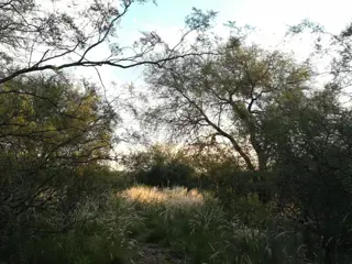 Terreno con vista a la sierra en Barranca de los Loros, Villa de las Rosas, Traslasierra foto 4