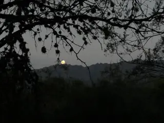 Terreno con vista a la sierra en Barranca de los Loros, Villa de las Rosas, Traslasierra foto 5