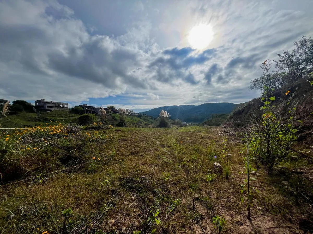 VENTA TERRENO 3.772 m² -  CLUB DE CAMPO LA ALMONA foto 4