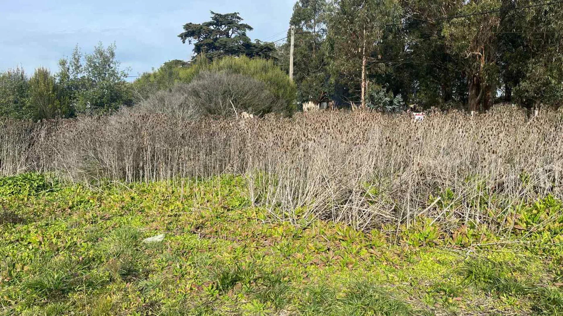 EN VENTA LOTE EXCELENTE UBICACIÓN ACANTILADOS foto 4