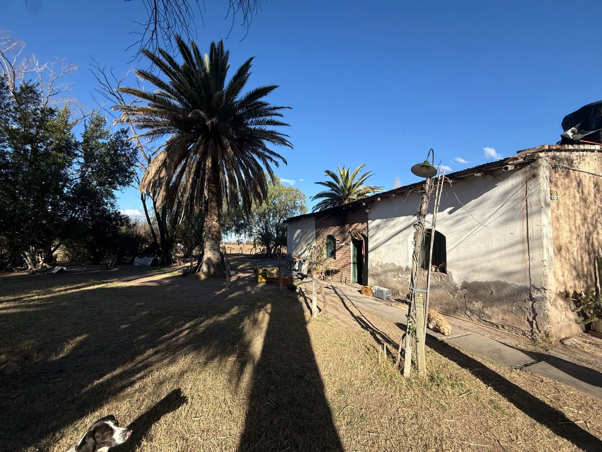 VENTA 6 HECTAREAS EN RAMA CAIDA foto 4