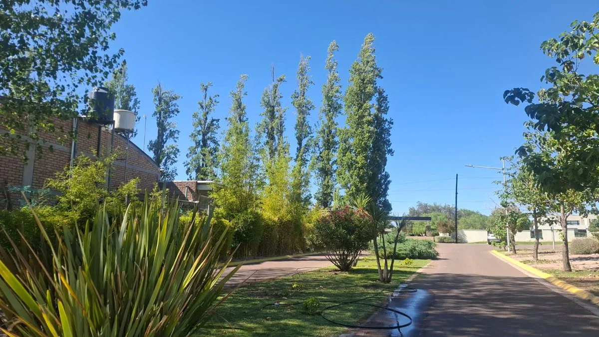 Lote en venta Barrio Privado Maria Antonieta foto 3