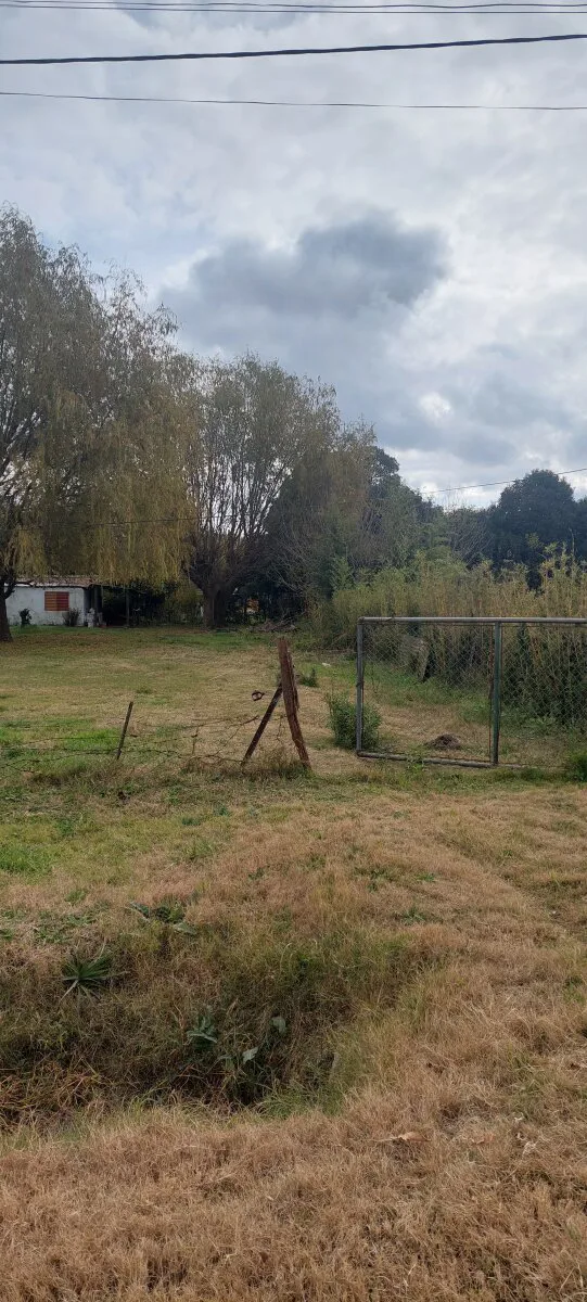 VENTA DE CASA EN CASTILLA - PARTIDO DE CHACABUCO - BS AS foto 3