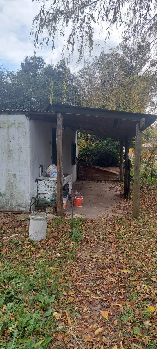 VENTA DE CASA EN CASTILLA - PARTIDO DE CHACABUCO - BS AS foto 4