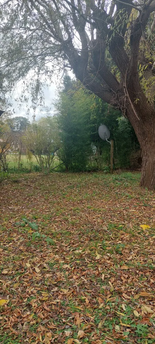 VENTA DE CASA EN CASTILLA - PARTIDO DE CHACABUCO - BS AS foto 5