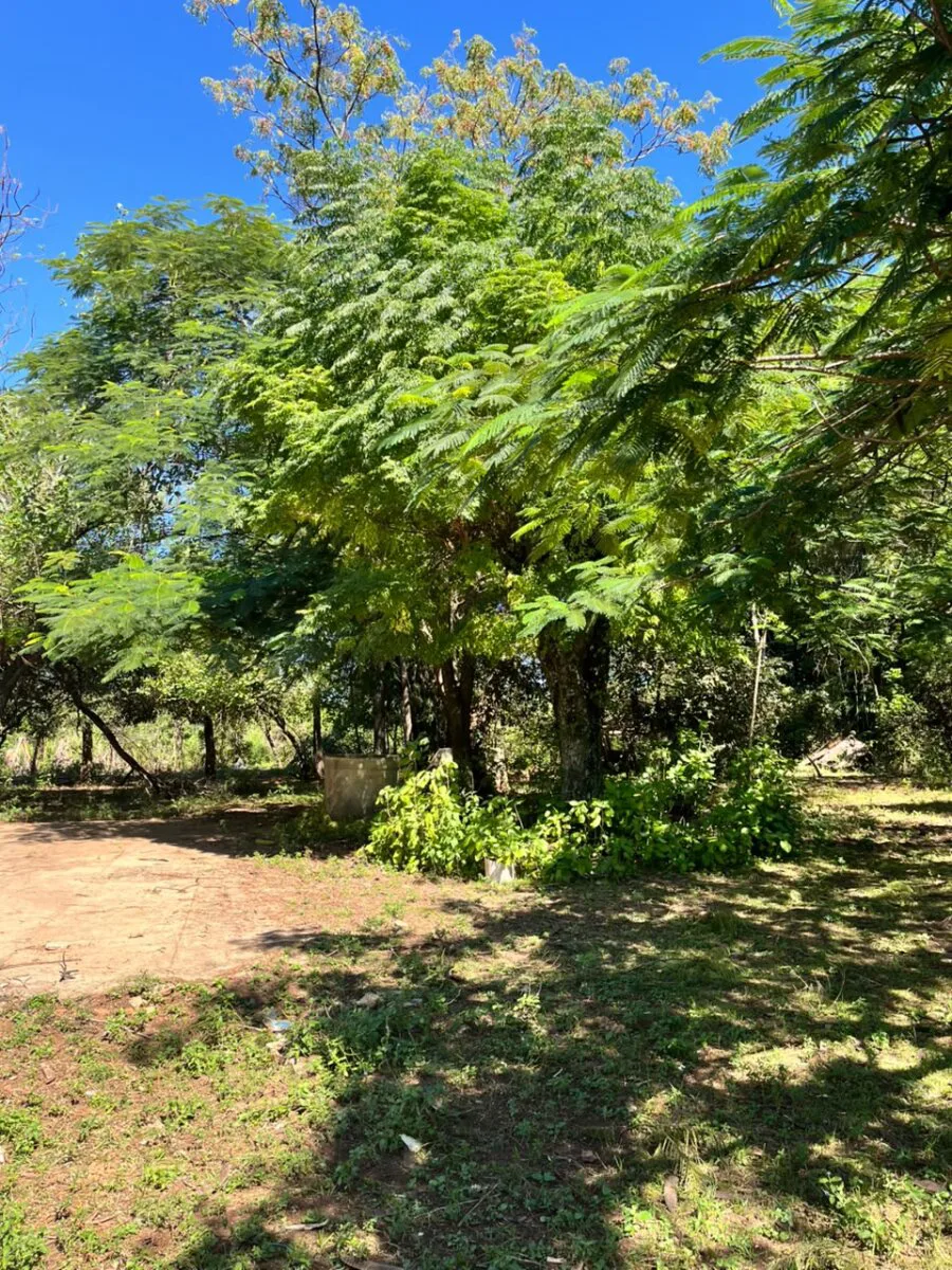 VENTA HECTAREA CON CASA POSADAS foto 2