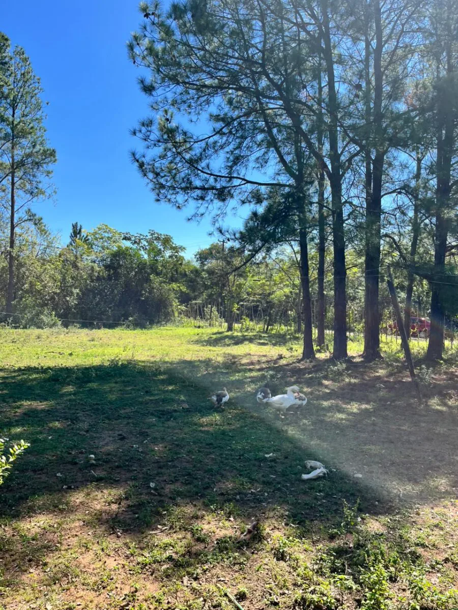 VENTA HECTAREA CON CASA POSADAS foto 5