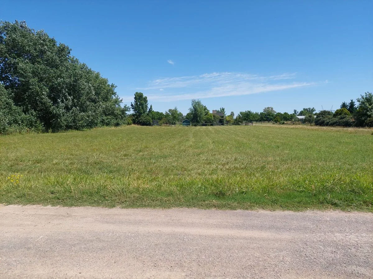 VENTA LOTE CENTRAL LA RANITA PILAR PERMUTA foto 2