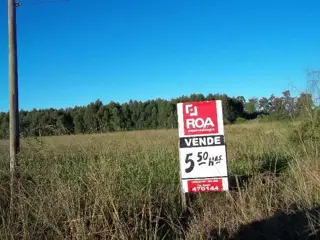 Campo en Venta en San José, Colón, Entre Ríos foto 1