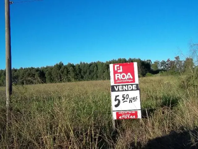 Campo en Venta en San José, Colón, Entre Ríos