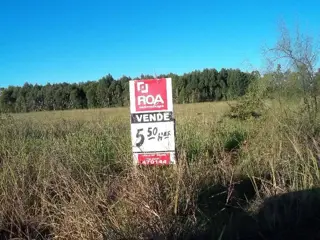 Campo en Venta en San José, Colón, Entre Ríos foto 2