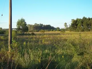 Campo en Venta en San José, Colón, Entre Ríos foto 3