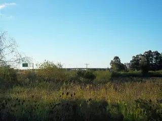 Campo en Venta en San José, Colón, Entre Ríos foto 5
