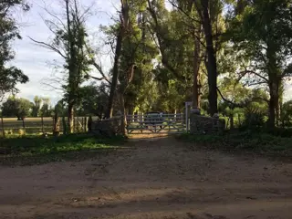 CAMPO DE 1400 HECTAREAS EN VENTA - CORDOBA foto 4