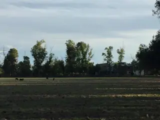CAMPO DE 1400 HECTAREAS EN VENTA - CORDOBA foto 5
