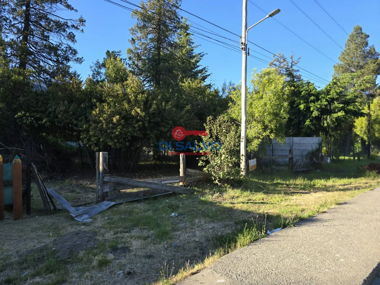 Lote de 800 mts2 sobre Ruta - Villa del Lago - Lago Puelo foto 2