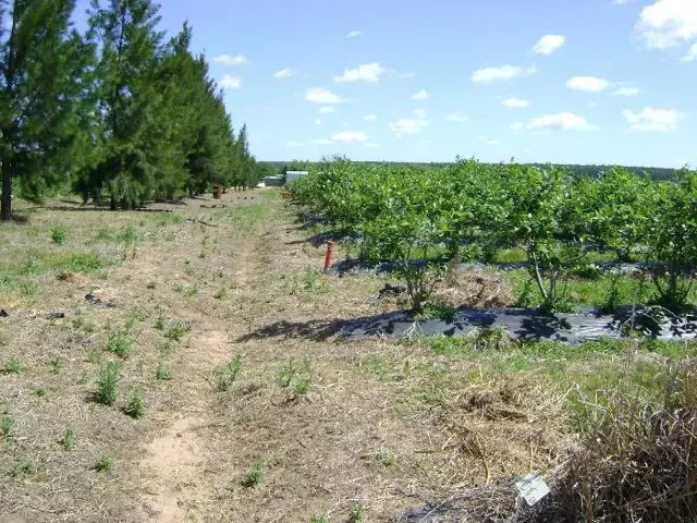 Campo de 4 hectareas en Venta en San José, Colón, Entre Ríos