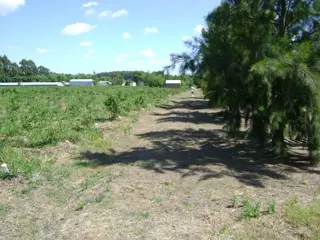 Campo de 4 hectareas en Venta en San José, Colón, Entre Ríos foto 2