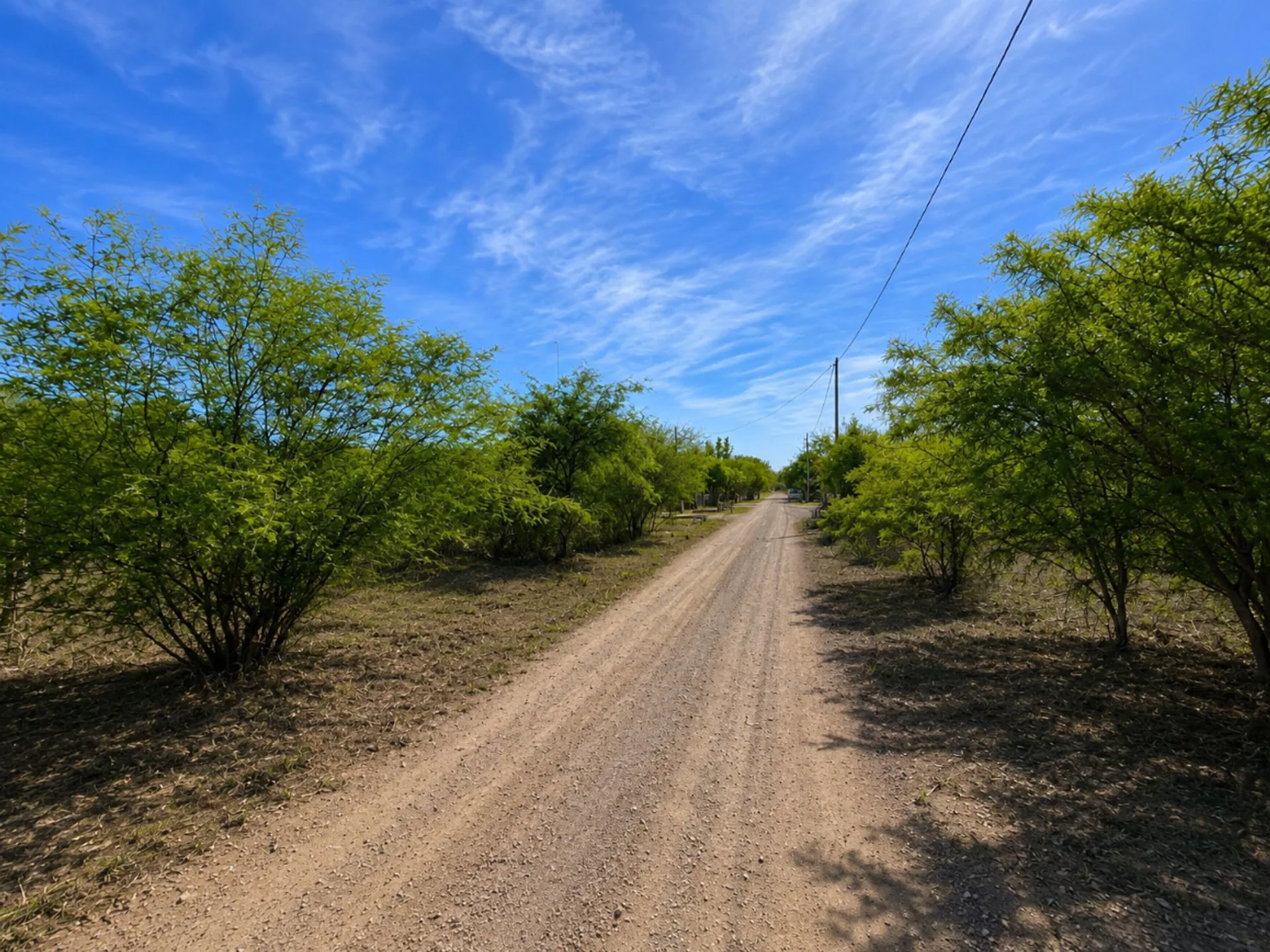 TERRENO EN VENTA - YANDA - 1.050 M2 foto 3