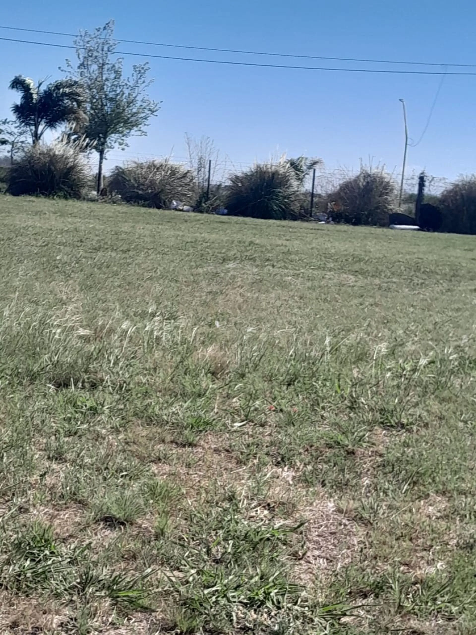 VENTA TERRENO BARRIO PALMARES 4 foto 2